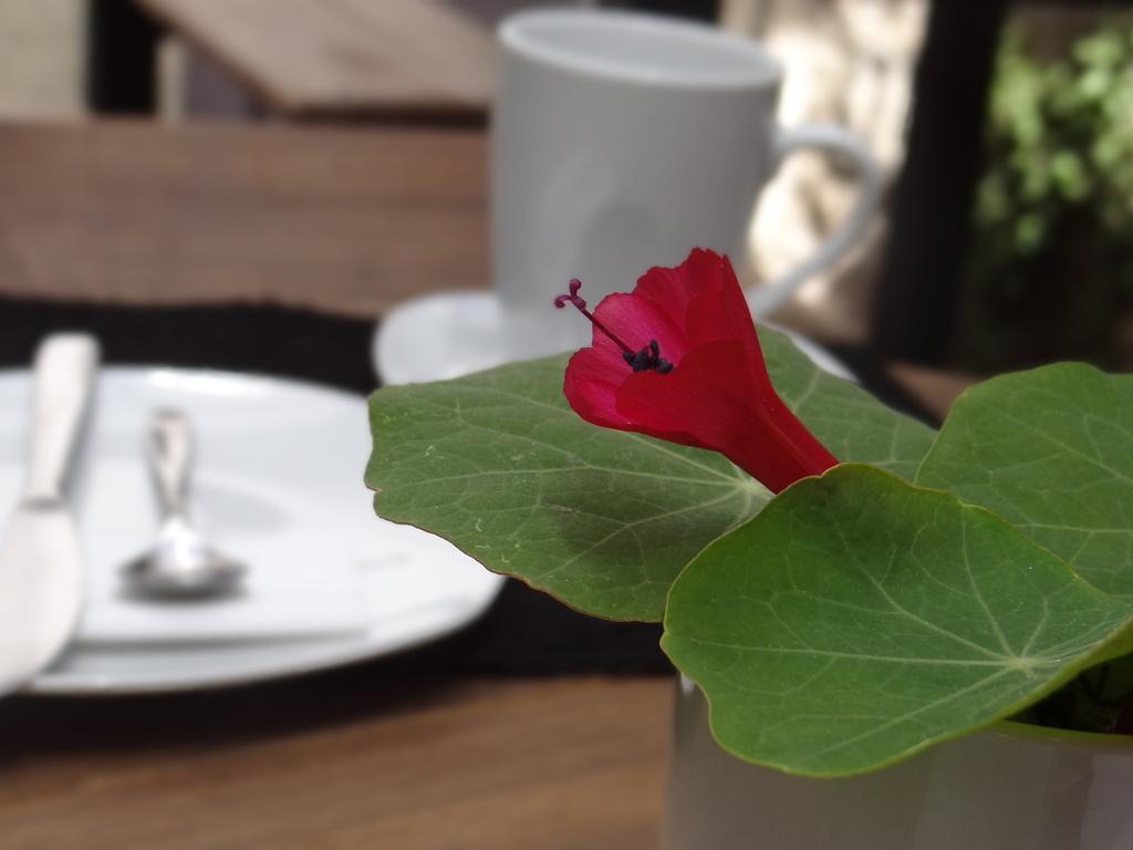 El Museo Hotel Boutique La Paz Zewnętrze zdjęcie